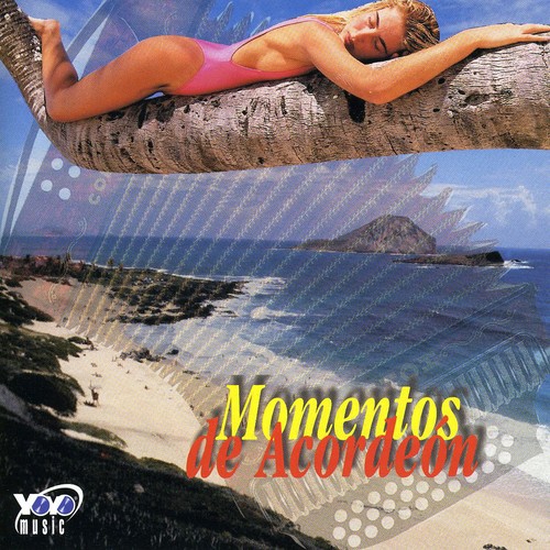 Momentos De Acordeon: Vallenatos Inmortal