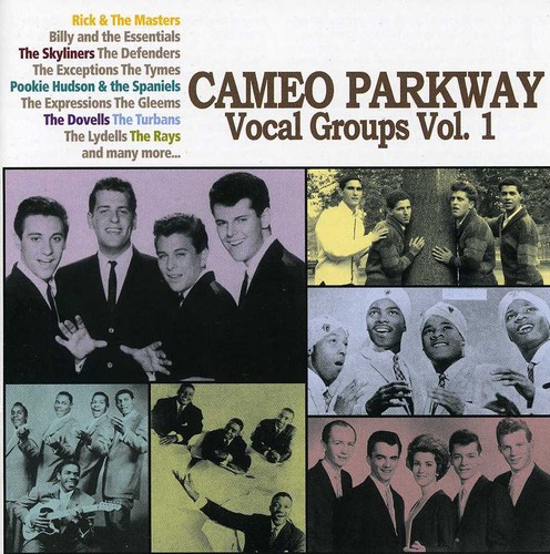 Remember Me Baby - Cameo Parkway Vocal Groups, Vol. 1