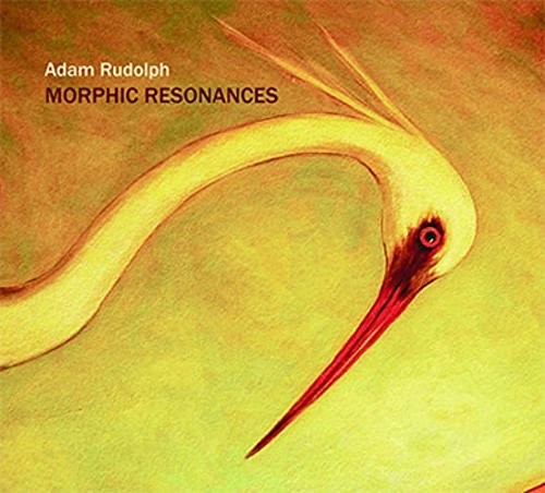 Morphic Resonances