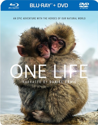 One Life