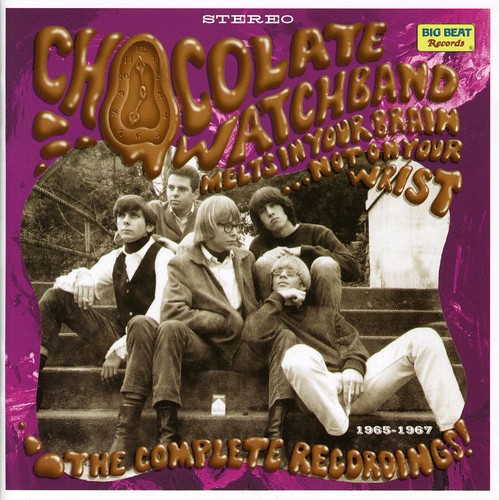 Chocolate Watch Band - Melts In Your Brain Not On Your Wrist-Complete R [Import]