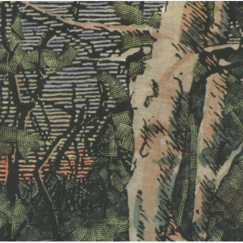 Asleep Many Years in the Wood