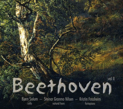 Beethoven Sonatas 2