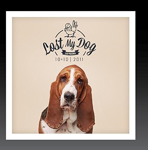 Lost My Dog 10x10 - 2011