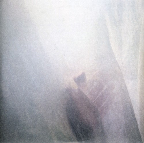 Wild Palms b/w Symphony In White, No. 2