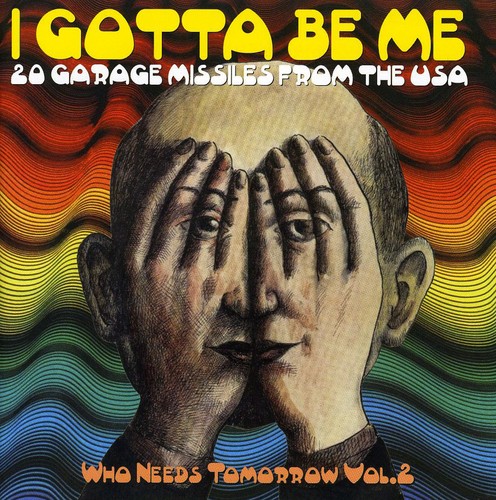 I Gotta Be Me: 20 Garage Missiles from the USA