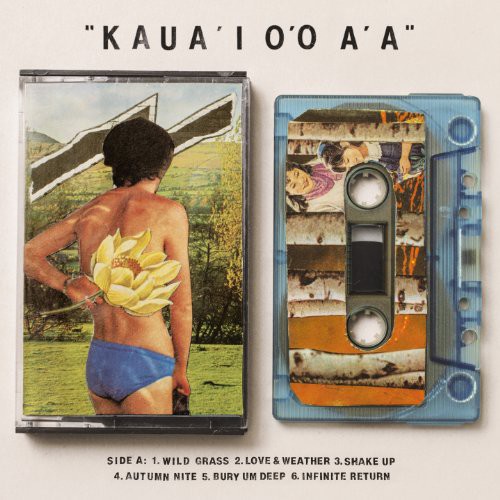 Kaua'i O'O A'a