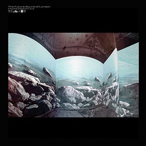 Environment 6.5 [Import]