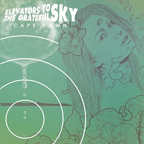 Elevators to the Grateful Sky