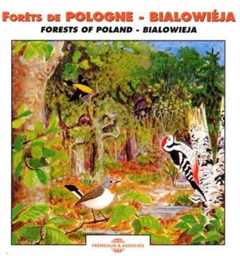 Forests of Poland: Bialowieja