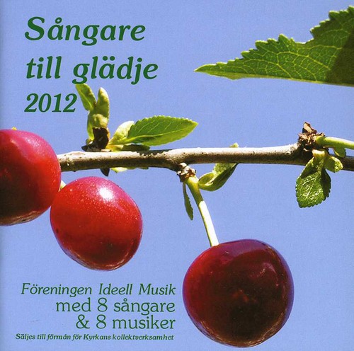 Sangare Till Gladje 2013 /  Various