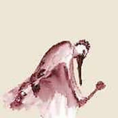From Quagmire - Habitats in the Wound