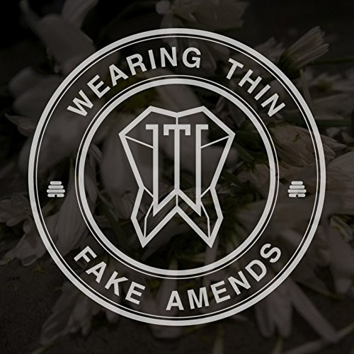 FAKE AMENDS