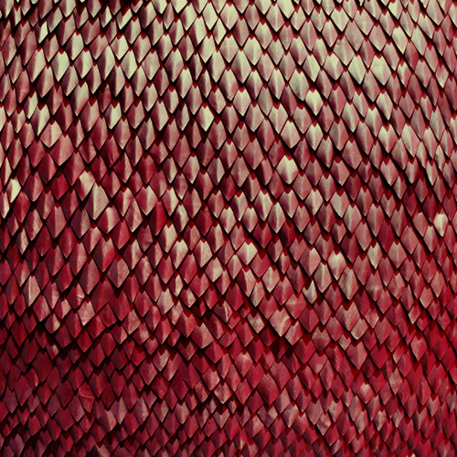 CARNELIAN