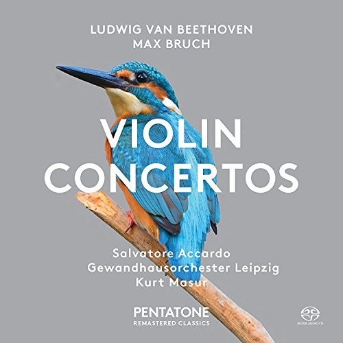 Ludwig van Beethoven & Max Bruch: Violin Concertos