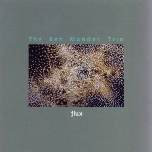 Ben Monder Trio - Flux