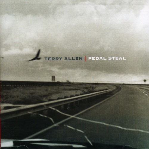 Pedal Steel