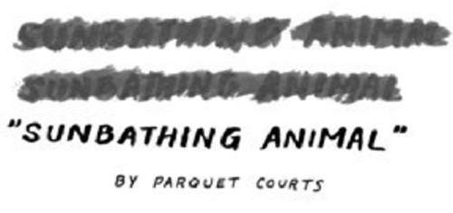 Parquet Courts - Sunbathing Animal [Vinyl Single]