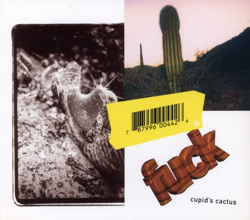 Cupid's Cactus