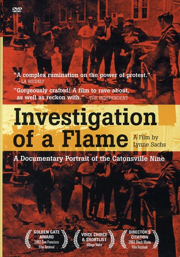 Investigation of a Flame