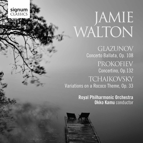 CONERTO BALLATA - CONCERTINO - VARIATIONS ON A
