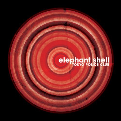ELEPHANT SHELL
