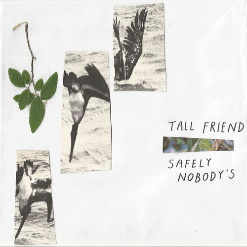 SAFELY NOBODY'S