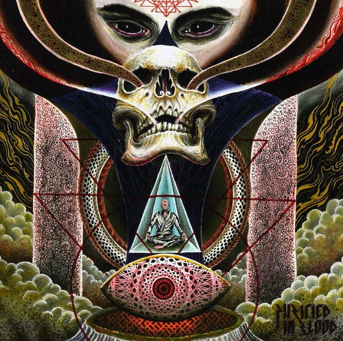 Flight of a Dying Sun [Import]