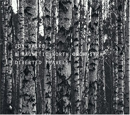 Diverted Travels [Import]