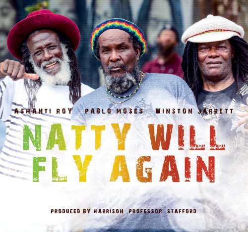 Natty Will Fly Again / Various