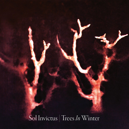 Trees In Winter