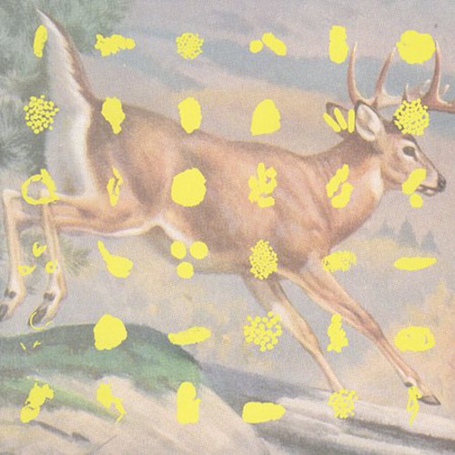 Fields & Streams / Various