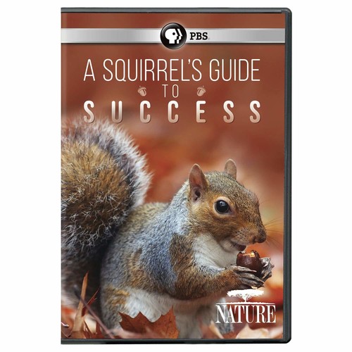 Nature: A Squirrel's Guide To Success