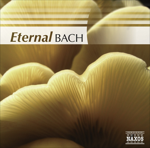 Eternal Bach / Various