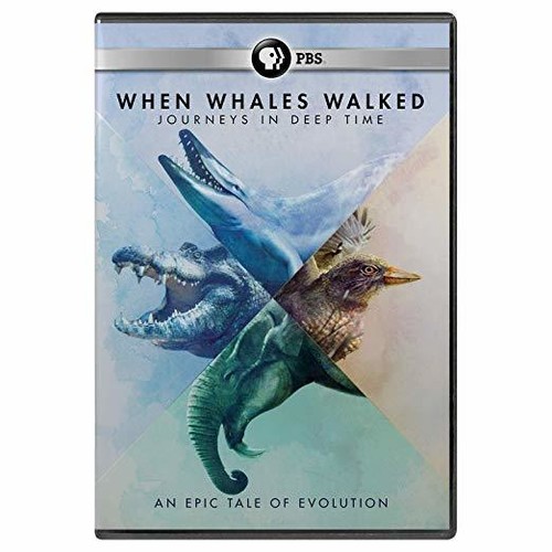 When Whales Walked: A Deep Time Journey