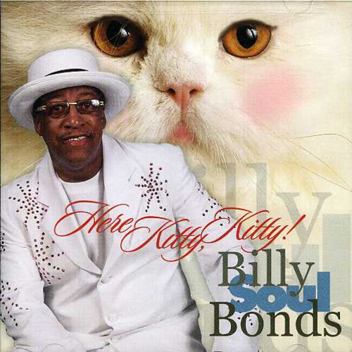 Here Kitty Kitty