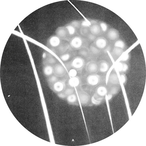 Recompiled Extractions