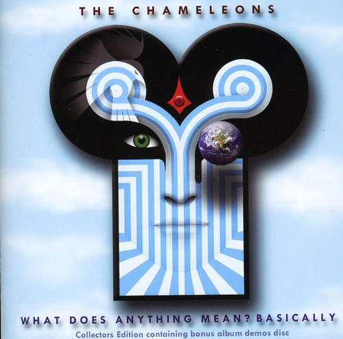 What Does Anything Mean - Basically [Import]