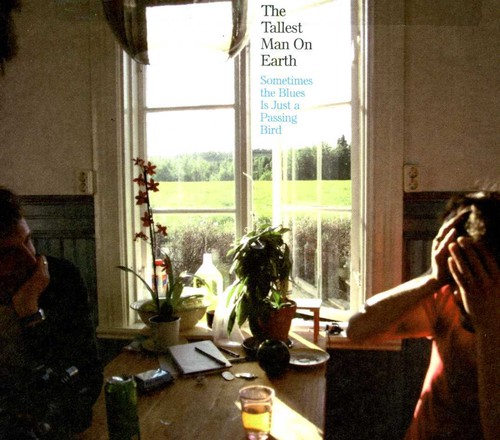 Sometimes the Blues Is Just a Passing Bird