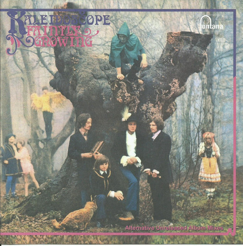 Album Art
