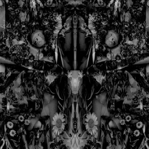 Songs Of Flowers and Skin