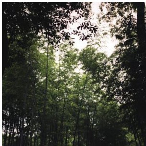 Smile and The World Smiles With You