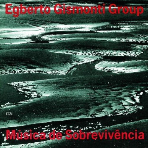 Musica de Sobrevivencia [Import]