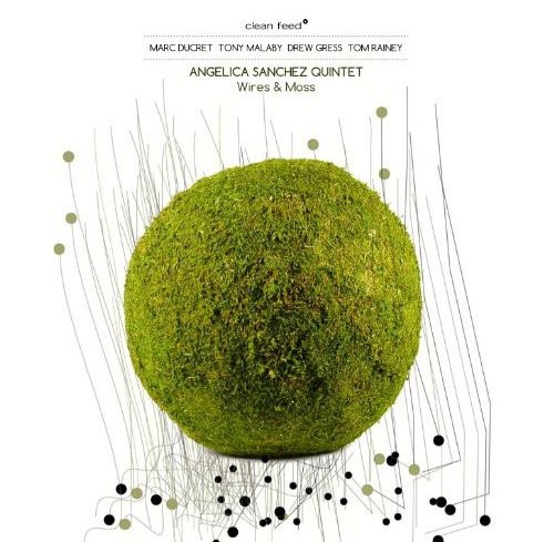 Wires & Moss [Import]