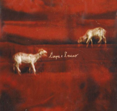 Harp & the Donkey