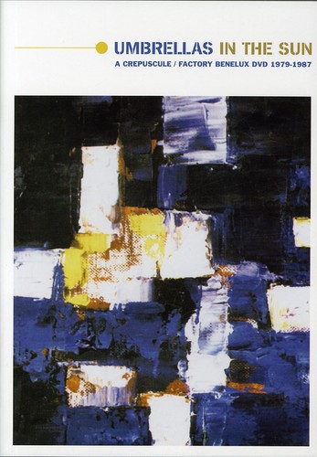 Umbrellas in the Sun