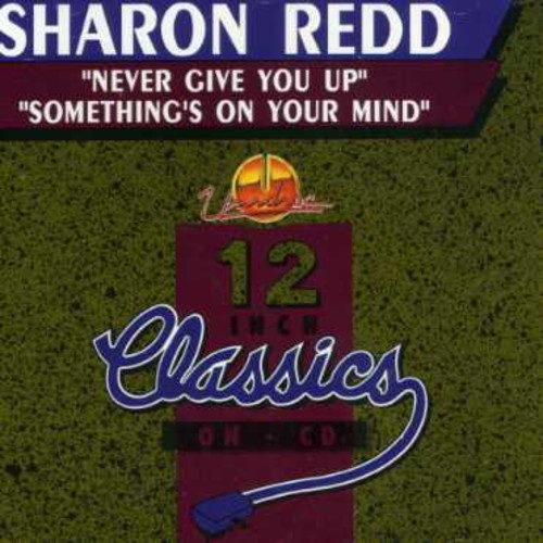 Never Give You Up /  Somethings on Your Mind [Import]