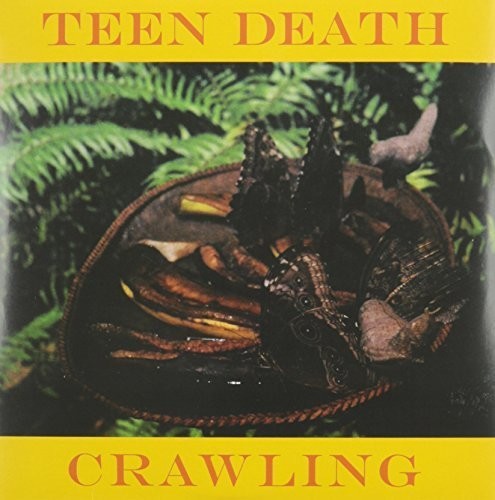 Crawling