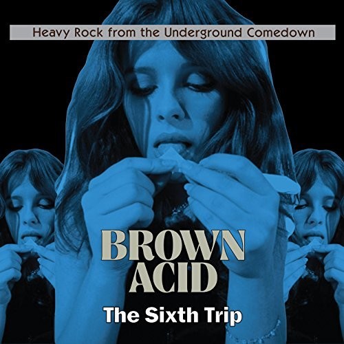 Brown Acid - The Sixth Trip (Various Artists)