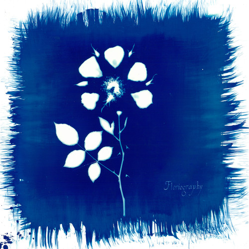 FLORIOGRAPHY